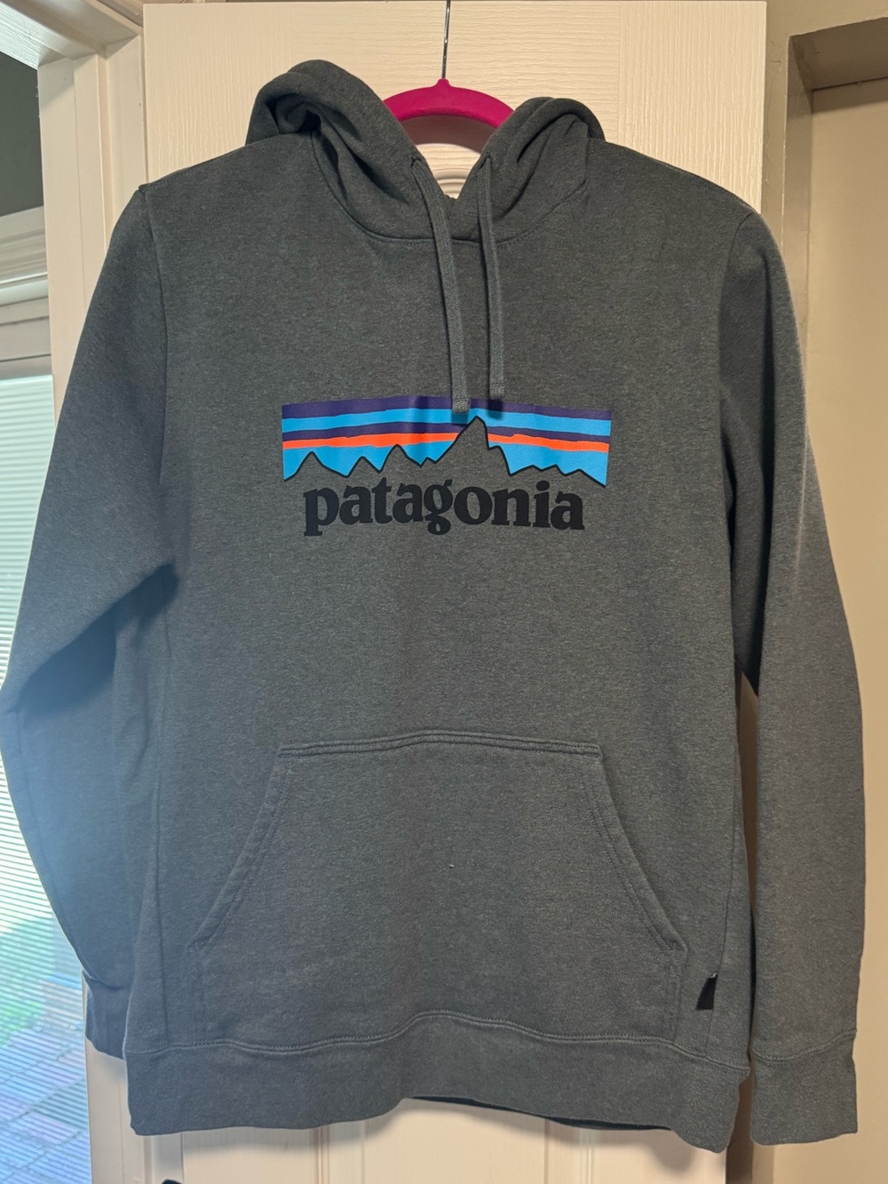 Patagonia hoodie/Womens size L/Mens size M/new w/o tags